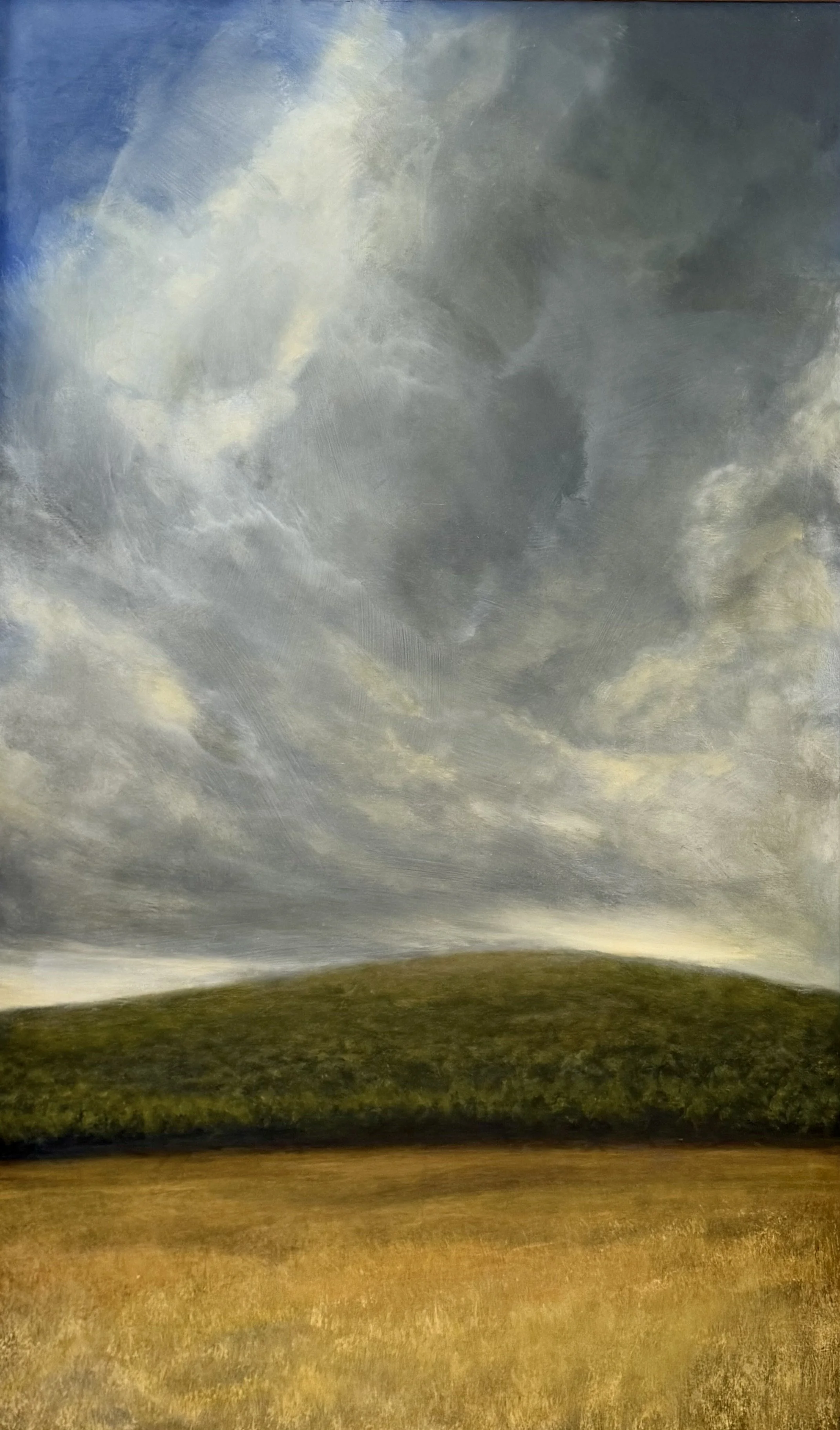 One Hill 48x30” oil on panel