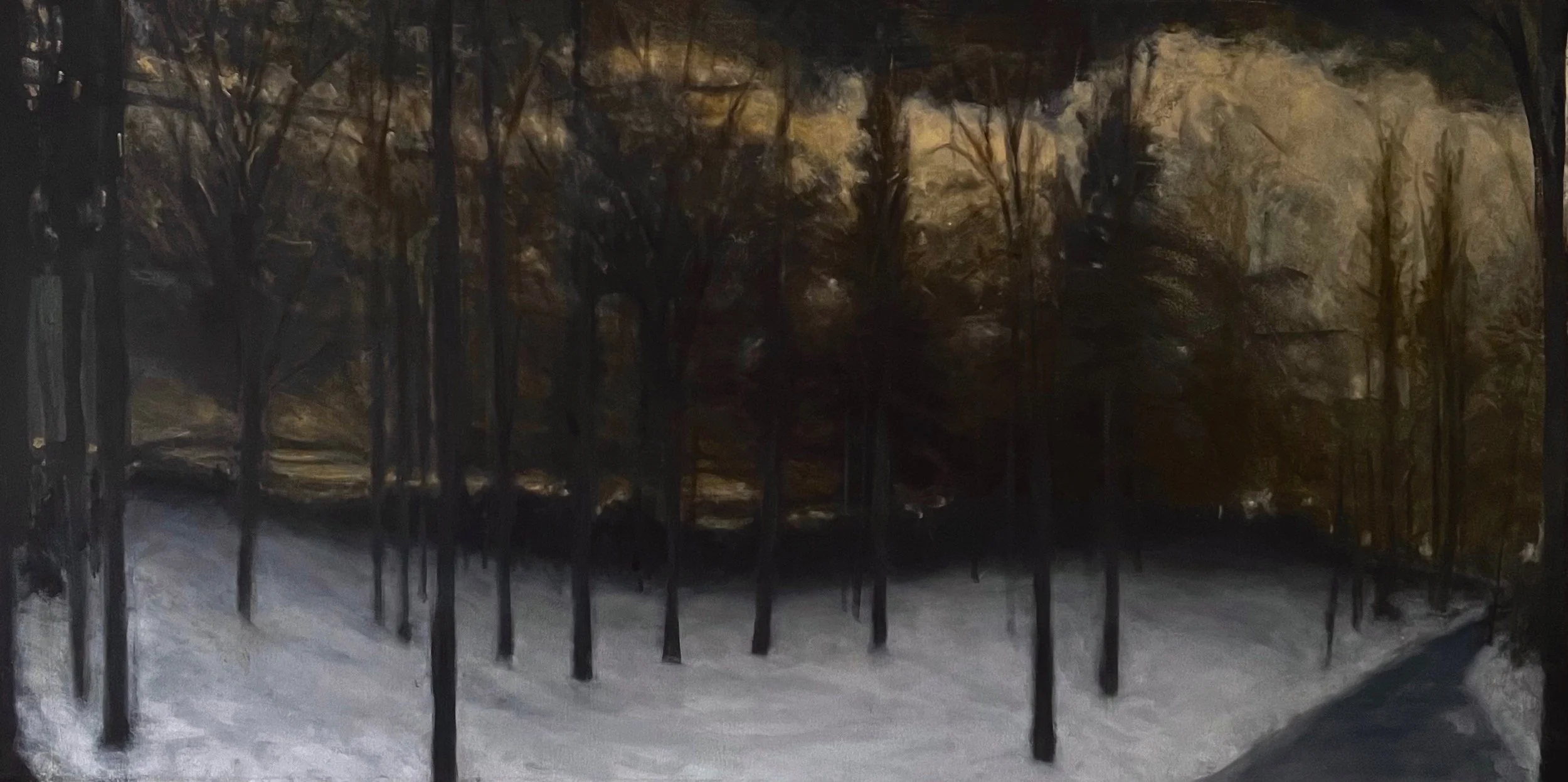 Nighttime winter scene of a snow-covered park with leafless trees and a winding path.