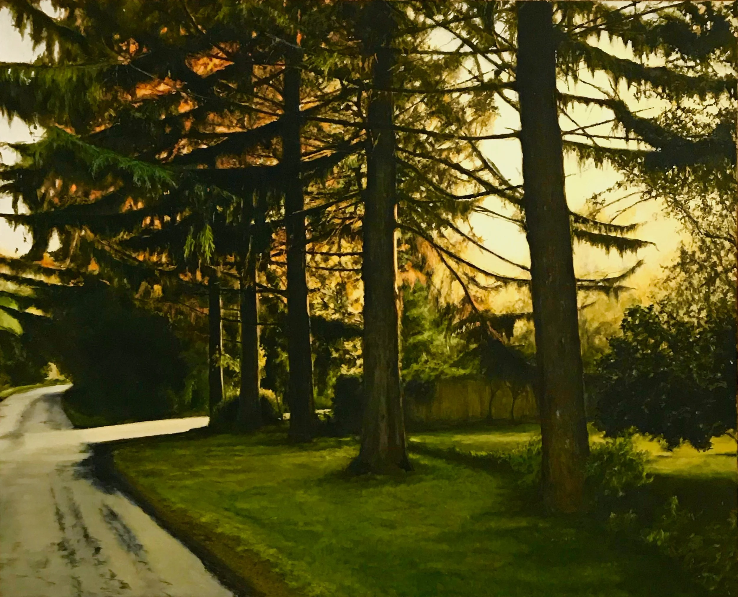 A dirt driveway winding through a grassy lawn with tall pine trees and other trees on a cloudy day.