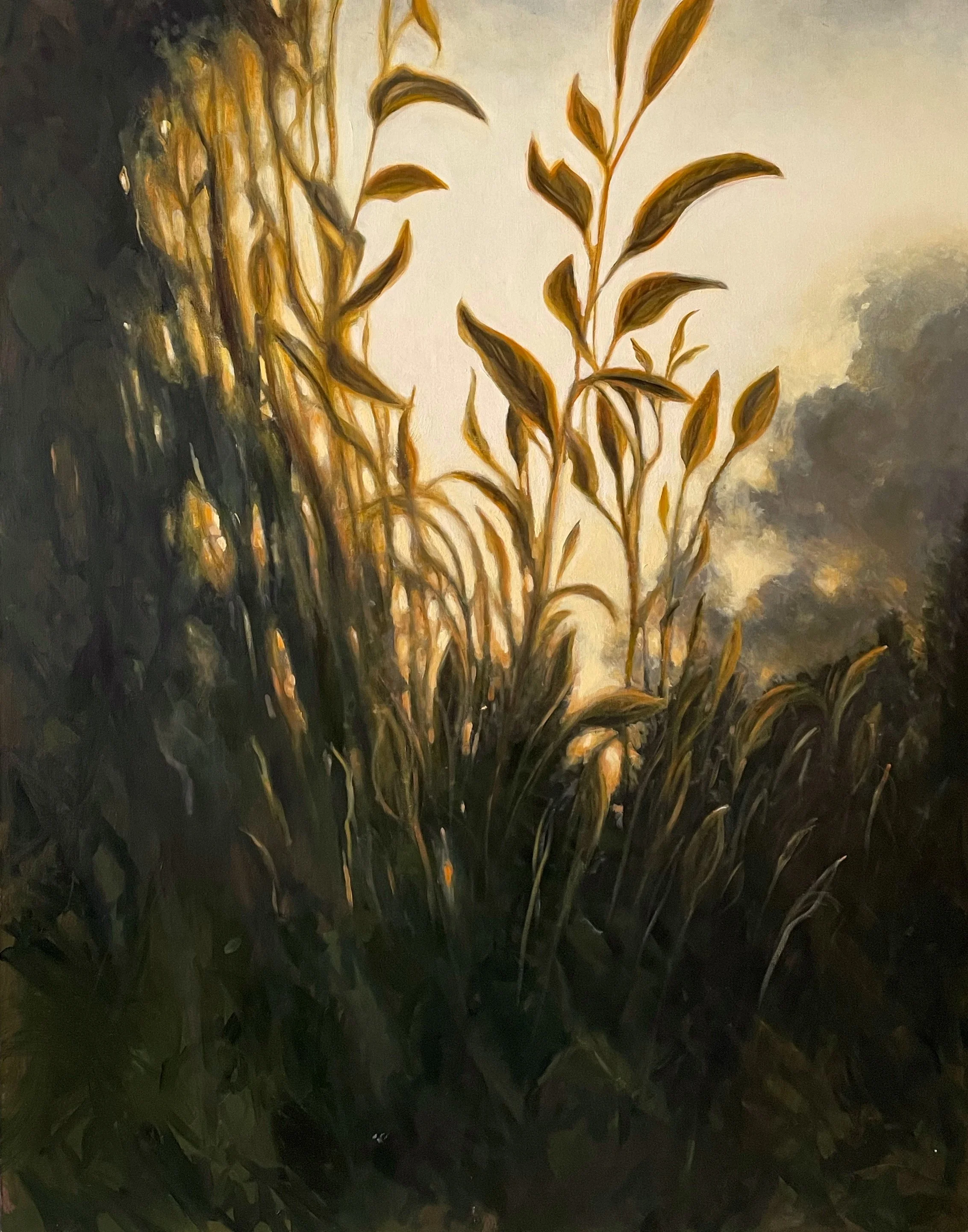 A painting of tall plants or grasses with a cloudy sky in the background, illuminated by warm, golden light.