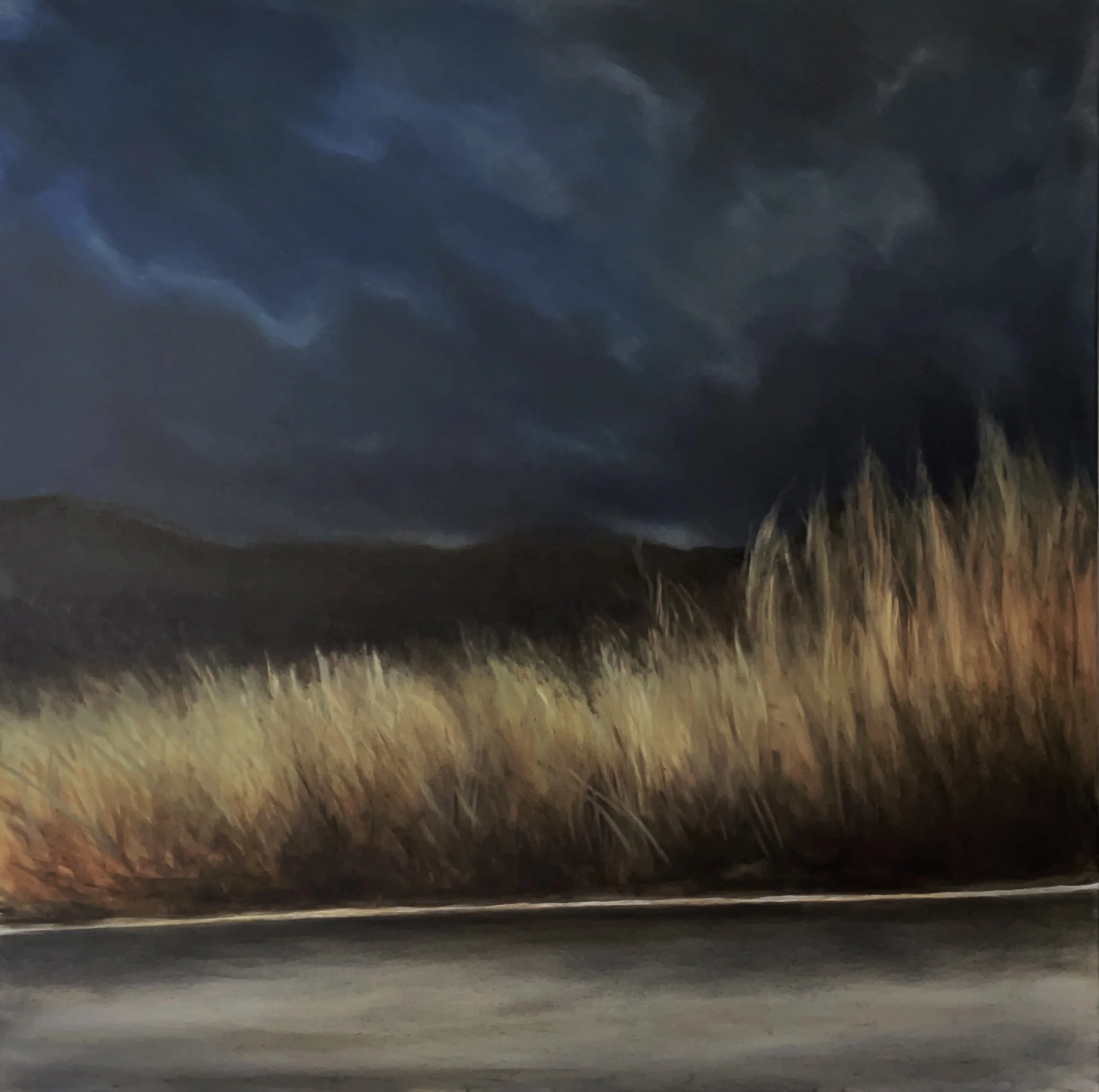 A painting of a landscape featuring a dark, cloudy sky, distant rolling hills, and tall golden grass in the foreground.