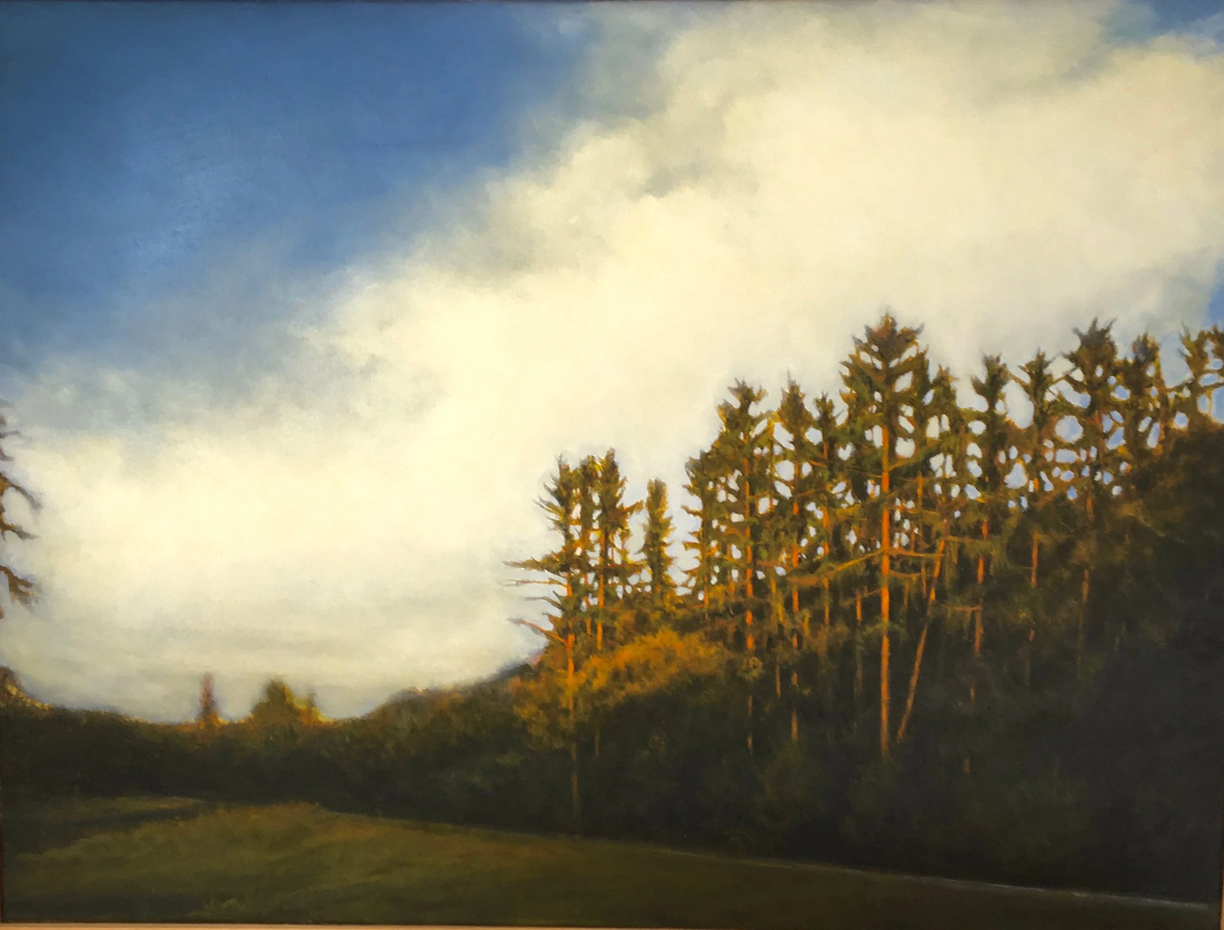 Painting of a hillside with tall trees, under a sky that is partly cloudy.