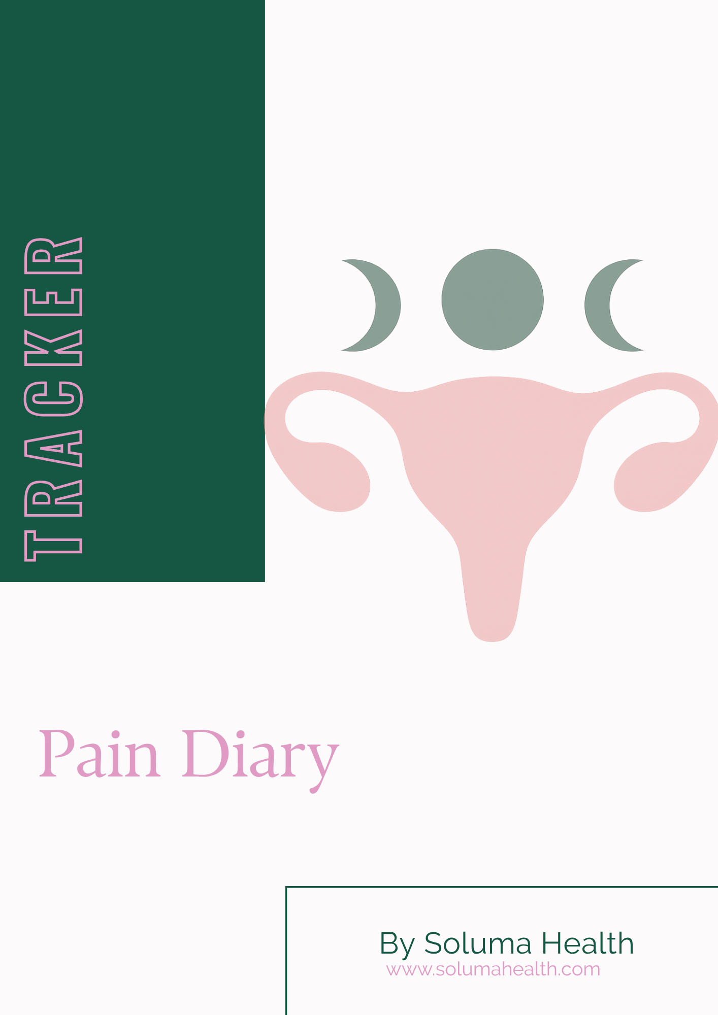 Copy of A Guide to Menstrual Cycle Tracking.png