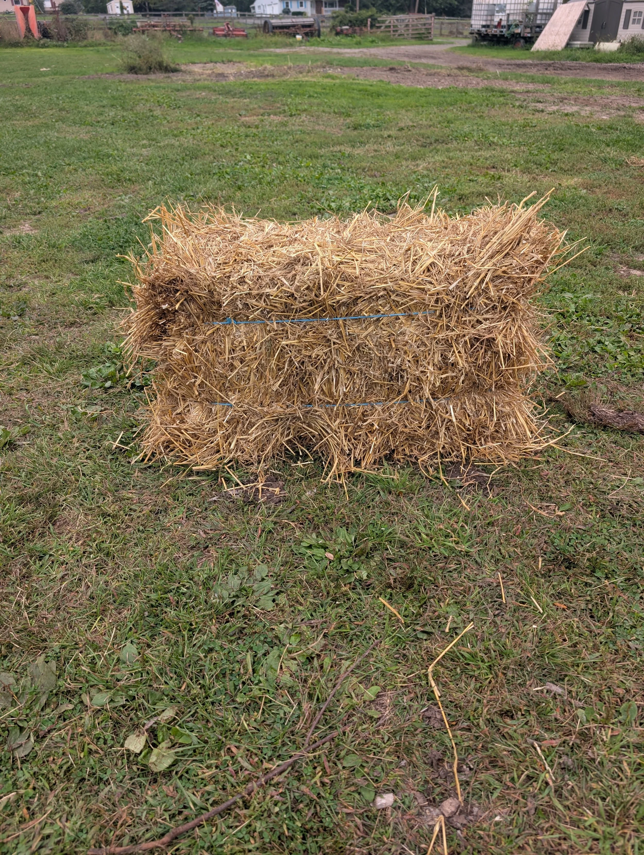 Hay Bale