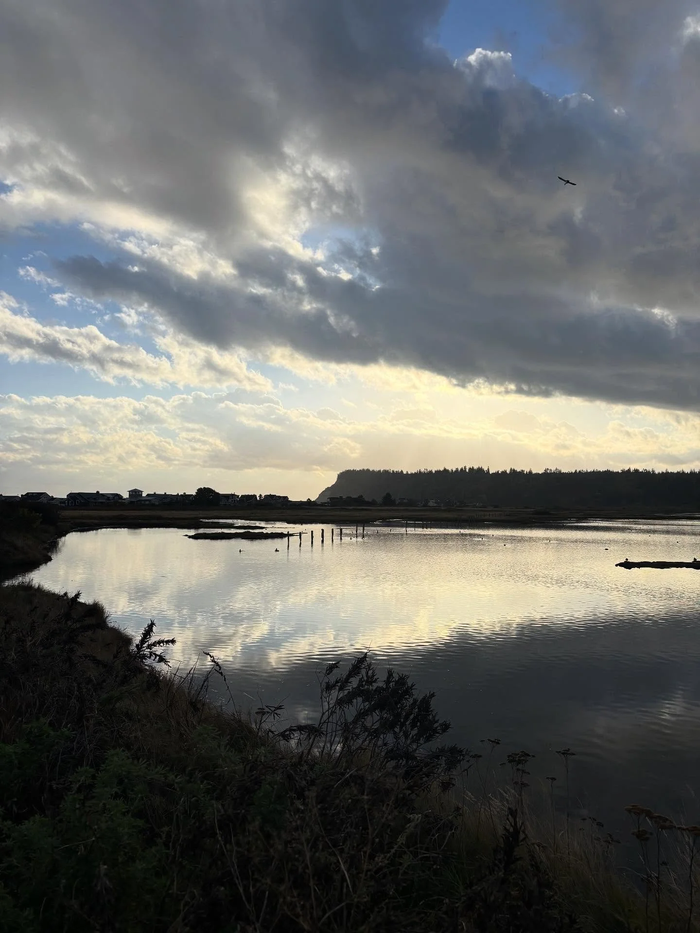 Today&rsquo;s after-work walk was giving serious sky drama with hundreds of ducks flying from the lagoon to the tidal flats and back. I was debating between walk and nap - this was 100% the right choice!  Hope you find some beauty this weekend and ch