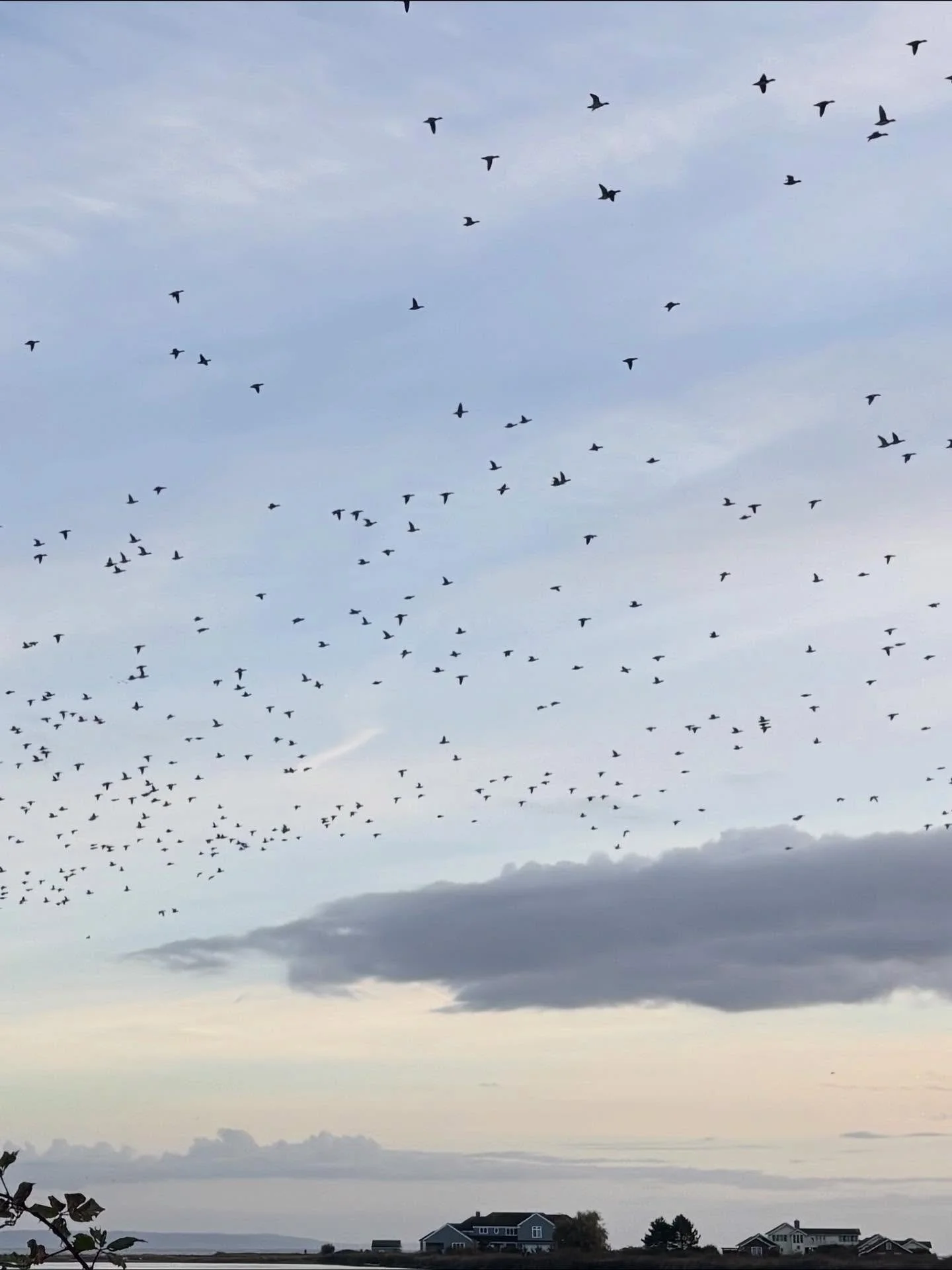 My Friday walk did not disappoint 😍