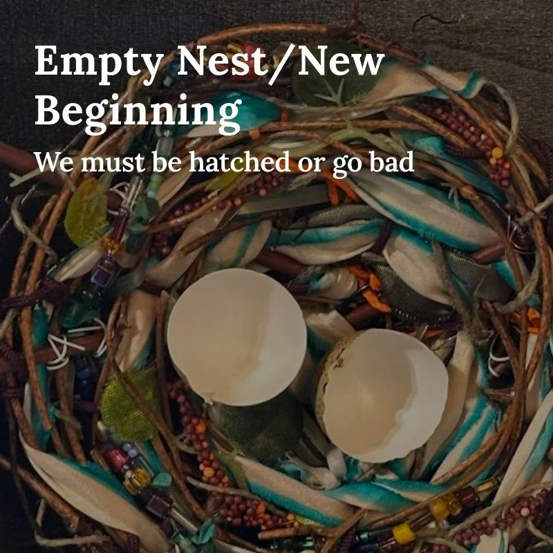 In this month's Saltee Goodness column, I share a photo essay on how the process of creating a new art piece called &quot;Empty Nest/New Beginning&quot; taught me an expansive new way of thinking about the post-kids-at-home phase of life.

Check it o