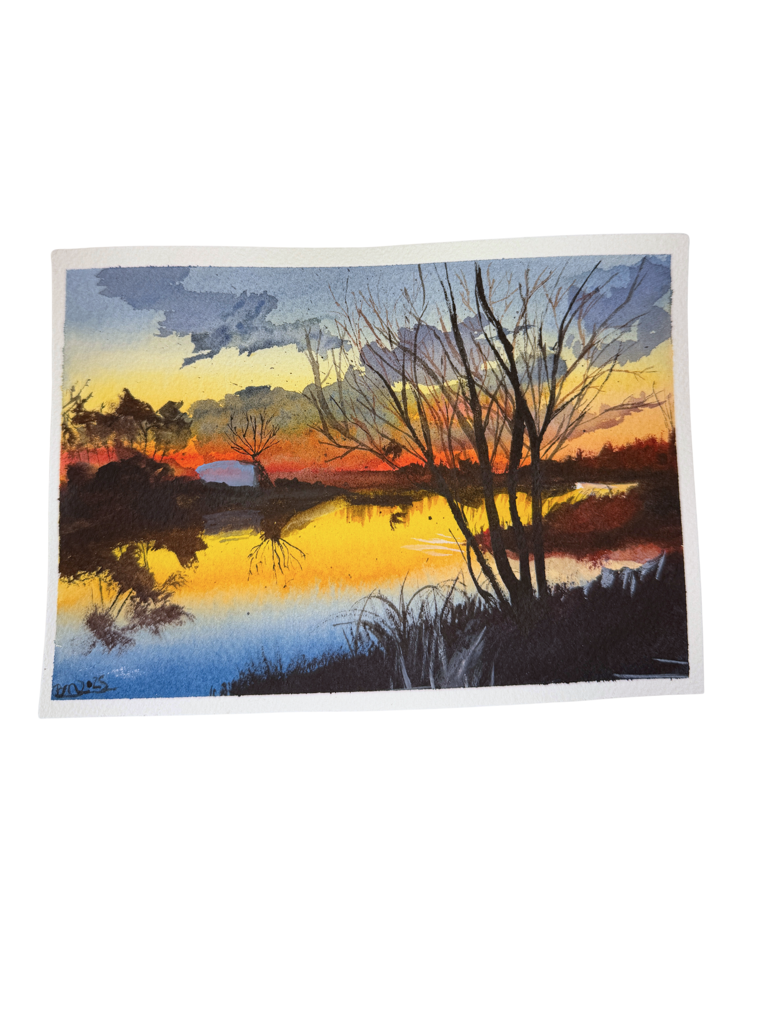 The Last Light Learns the Trees