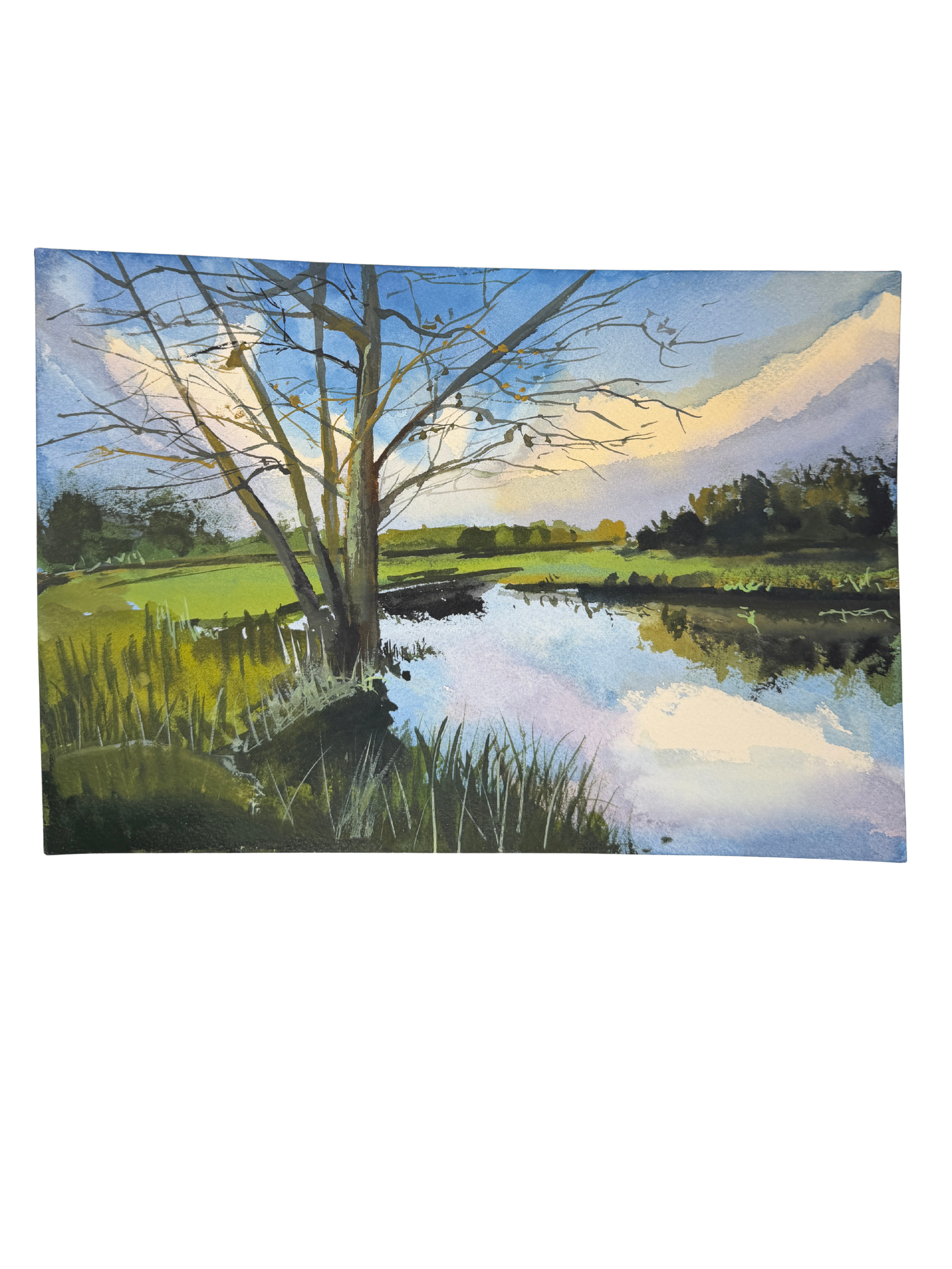 Where the Day Pauses