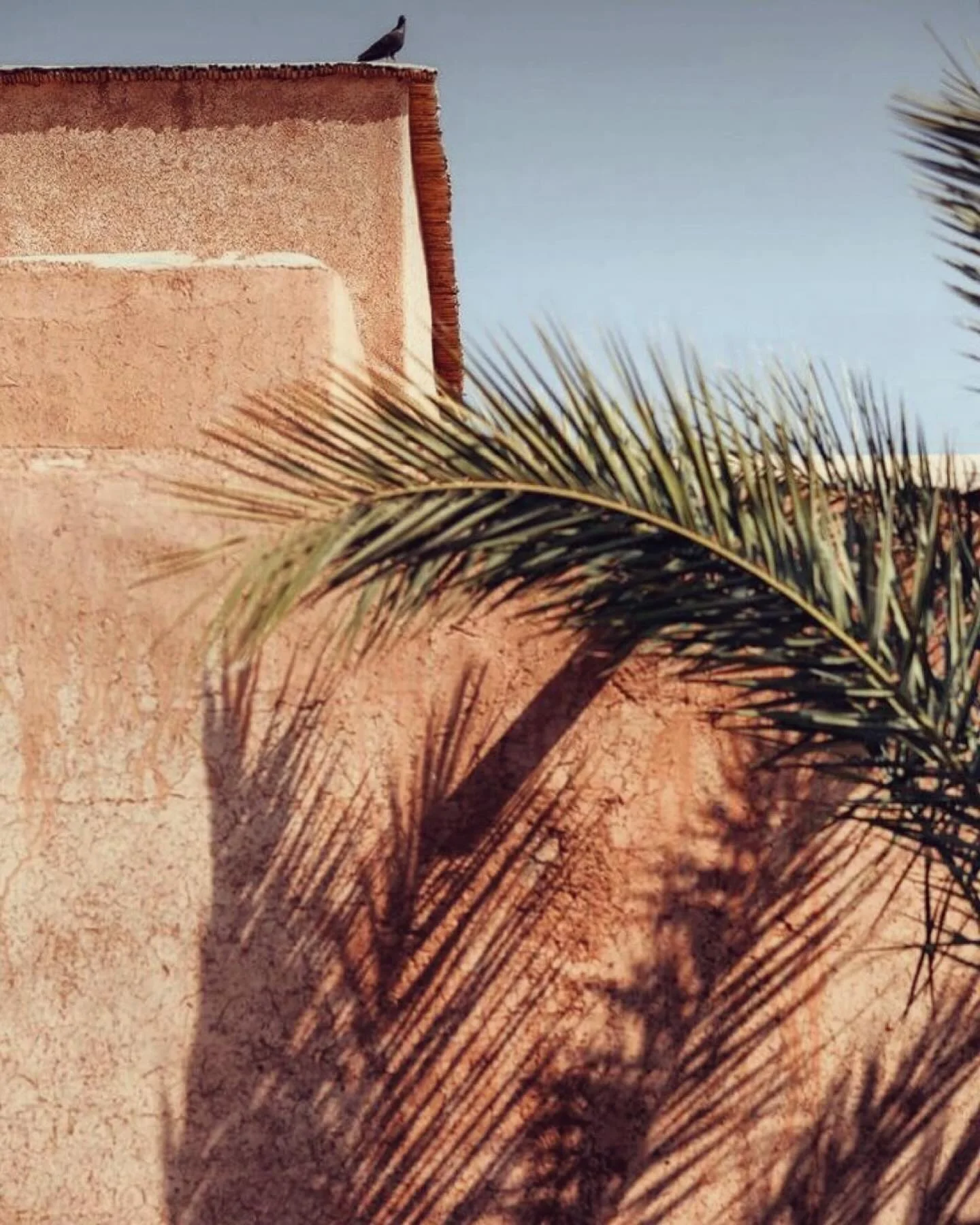 Behind the scenes 🇲🇦
&bull;

#moroccostyle #marrakech #travel #riad #interiordesign #newproject #maroc #peaceful #riadmarrakech #familyproject #riadrenovation #riadlife #enjoytheride #makeyourdreamscometrue #marrakechandbeyond #moroccanstyle #riadl