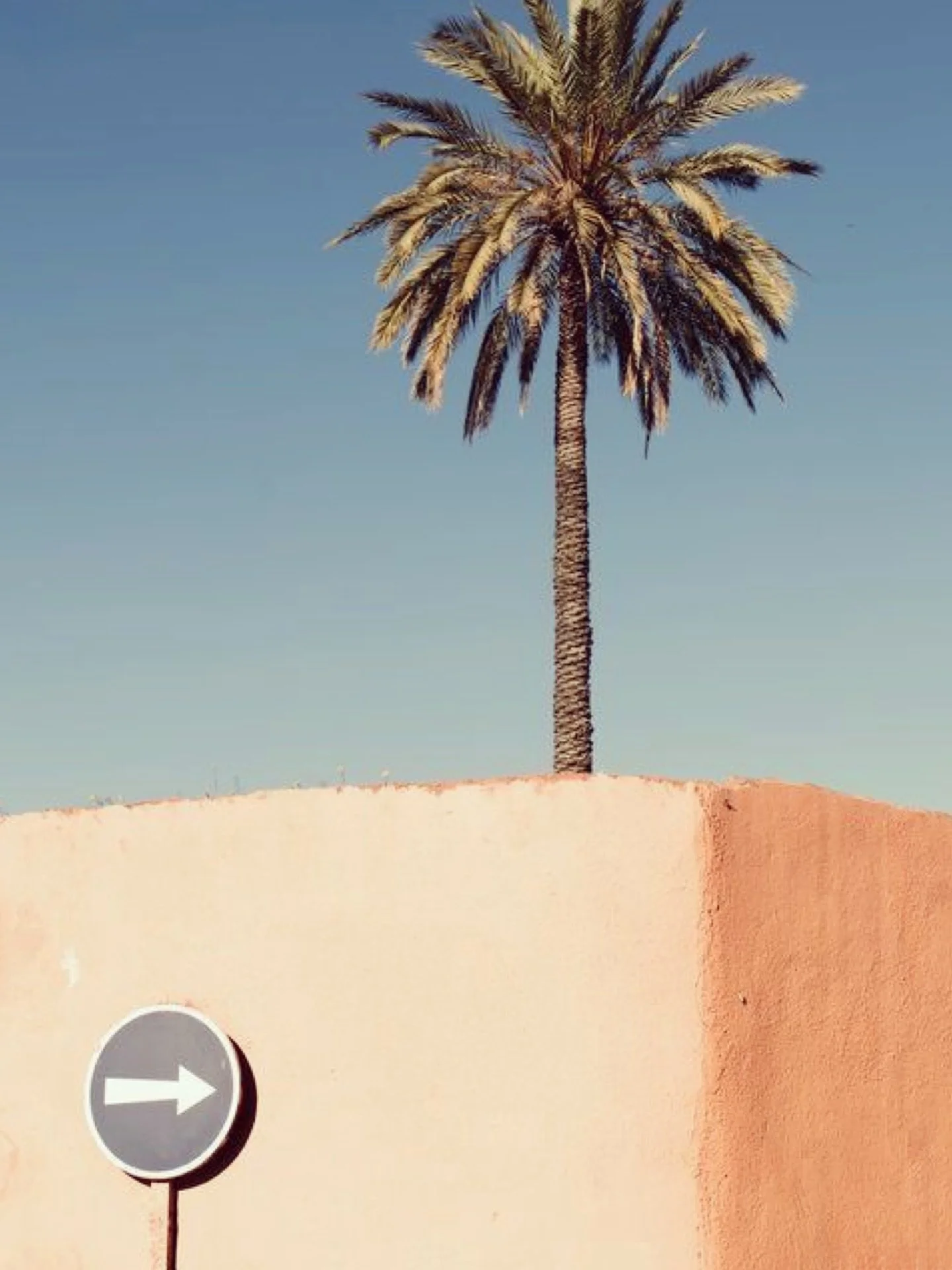 |🇬🇧 Marrakech in autumn/winter is pure magic. 

Days are pleasantly warm, mornings and evenings a bit crisp and the whole experience simply dreamy.

Our first guests just left Riad Salama after a week of bliss and December still has openings.

Sunn