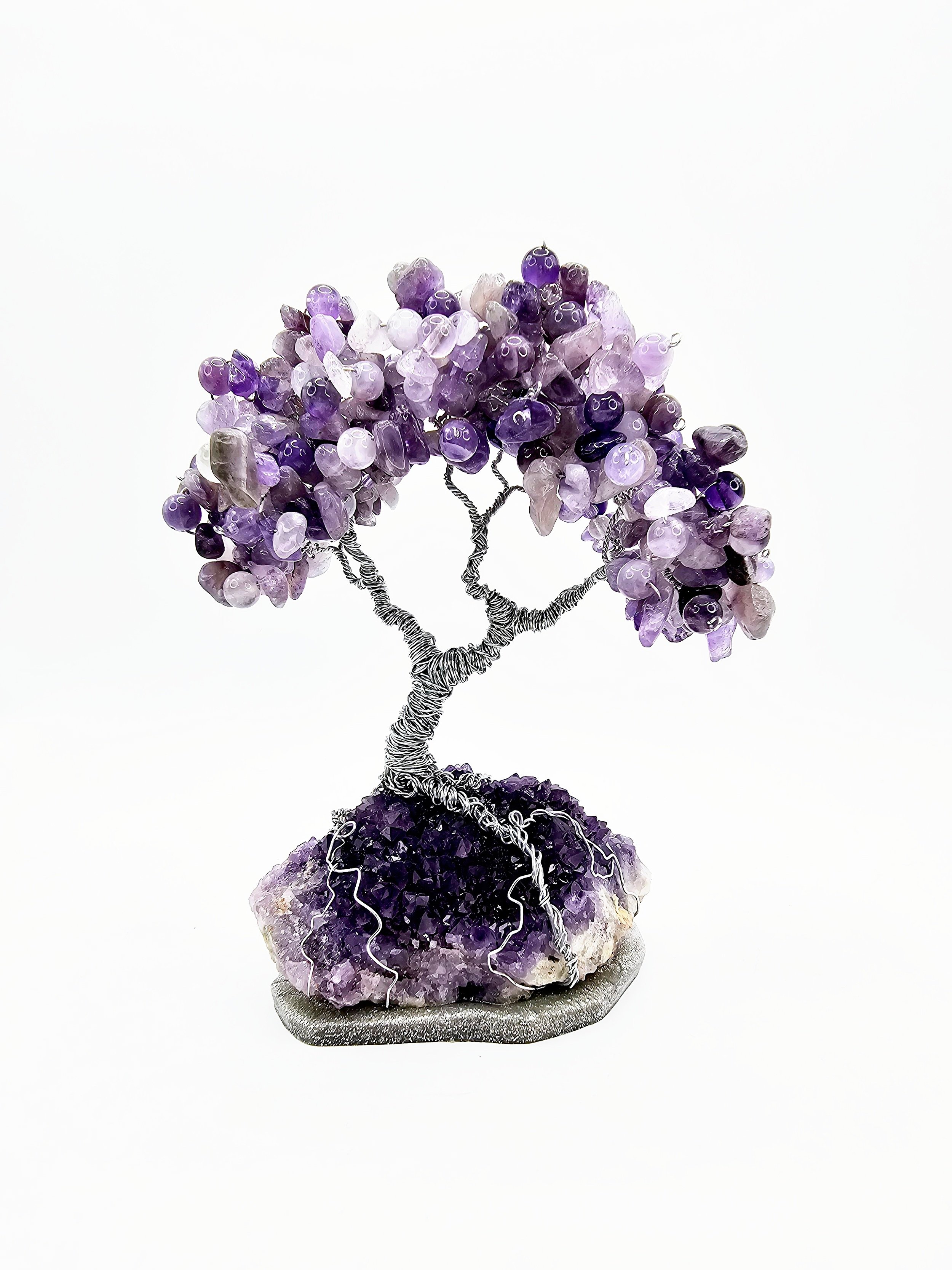 Family Tree- Amethyst Dream