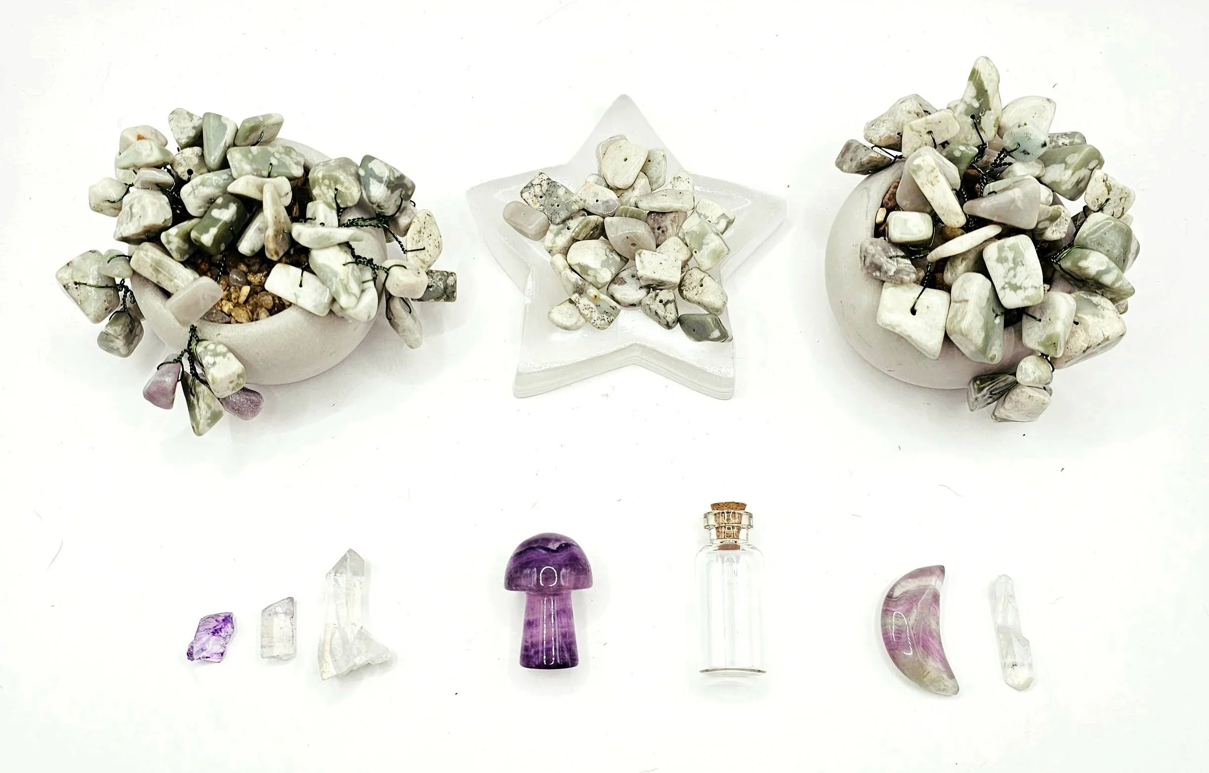 two forever succulents surround a small bowl of green spot jasper beads. This is above an array of finishing adornments including points, a flourite mushroom, an intenion jar, and a crystal moon. How will you decorate your forever succulent?
