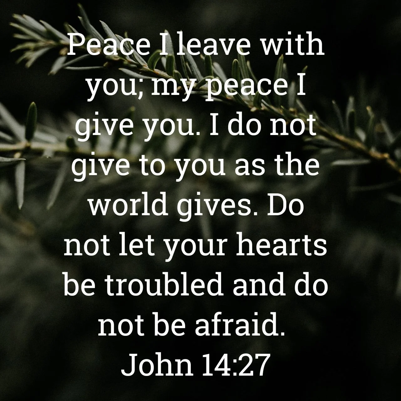 My Peace I Leave You