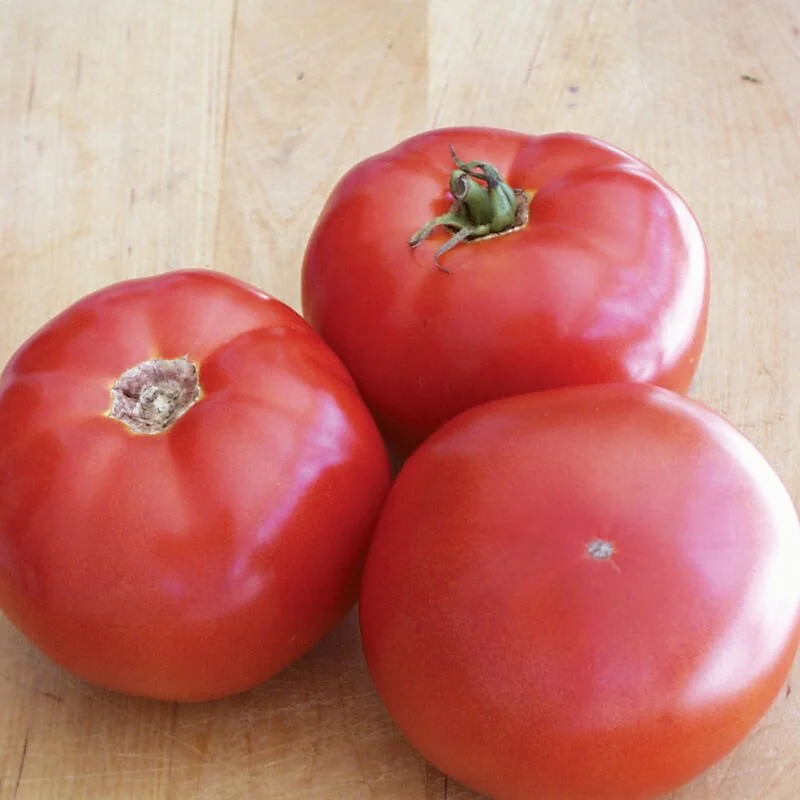 bhn tomatoes.jpg