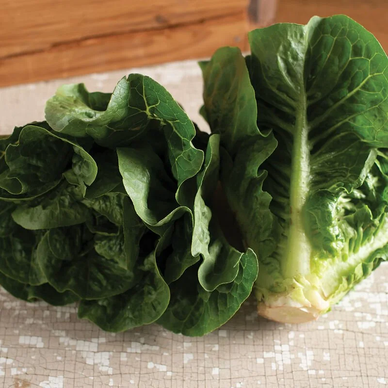 monte carlo lettuce.jpg