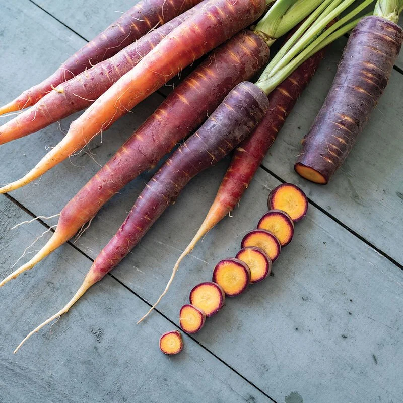 Carrots - Purple Star