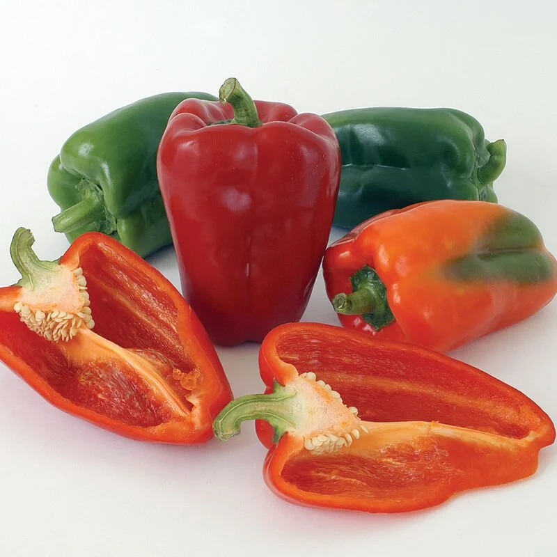 ace bell peppers.jpg
