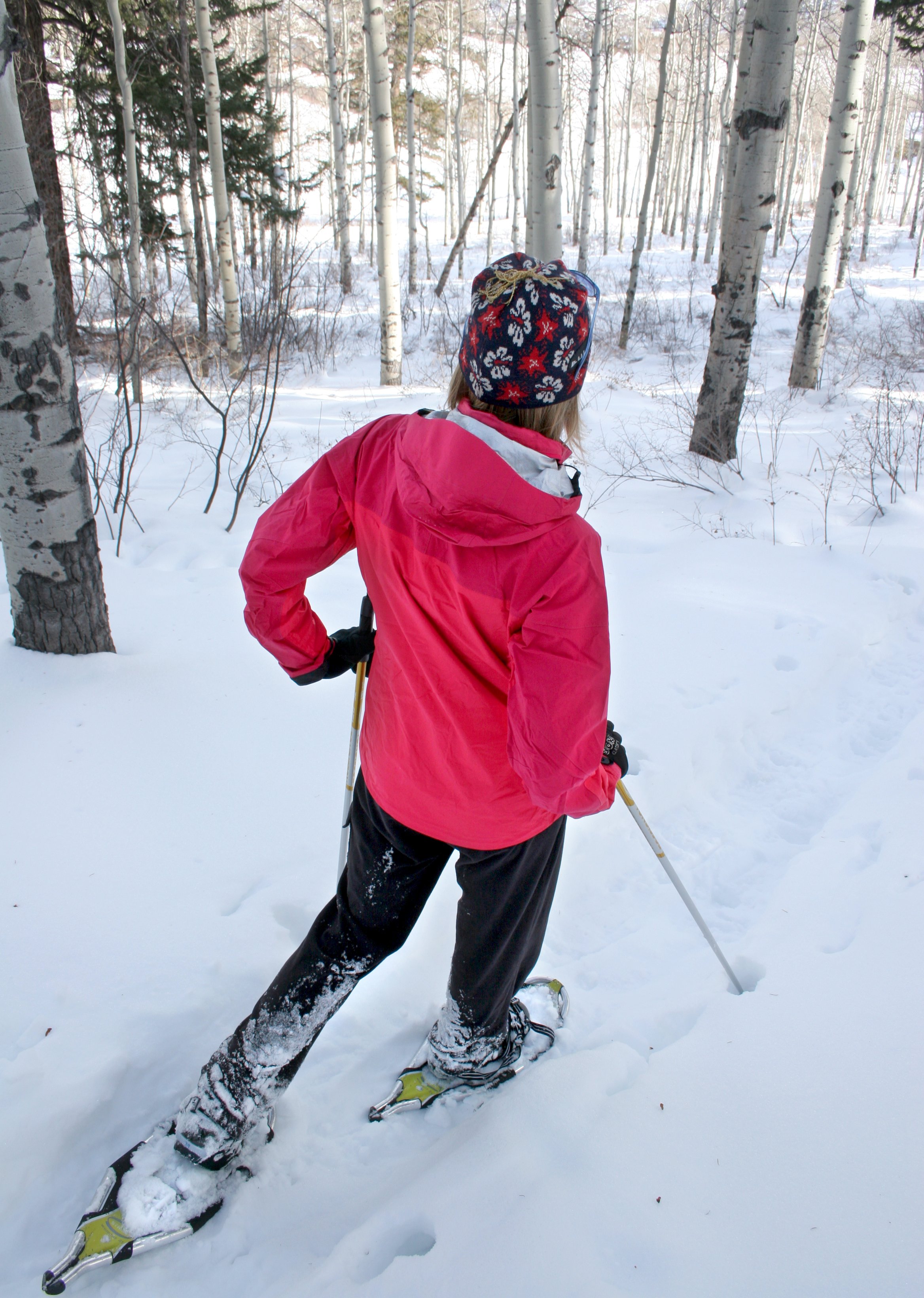 snowshoe in woods.jpg