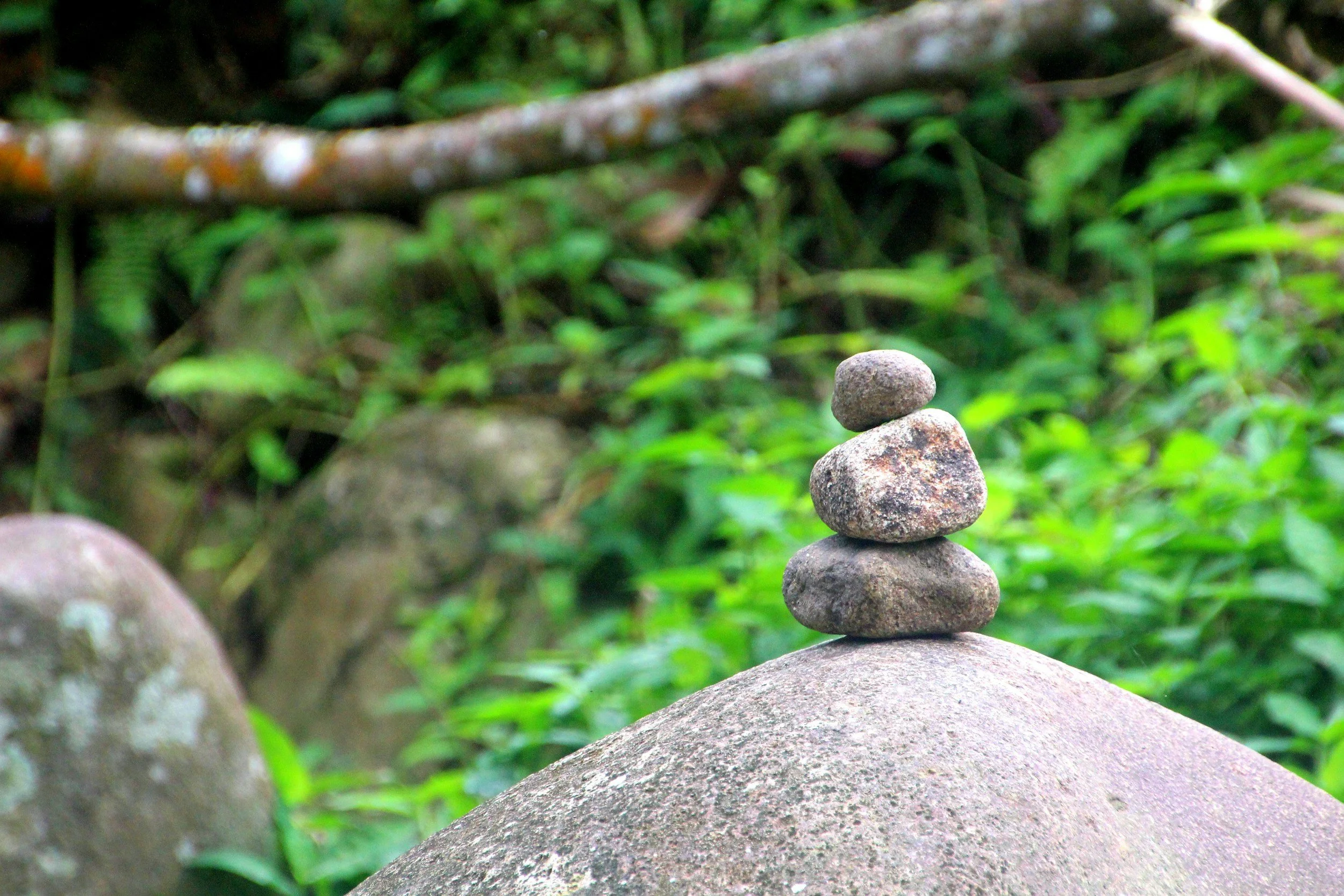 Four stacked rocks on a large flat stone in a forest setting, with green foliage and a fallen branch in the background.