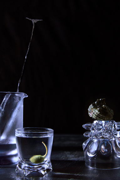 Screen Shot 2026-01-18 at 5.49.18 PM.png