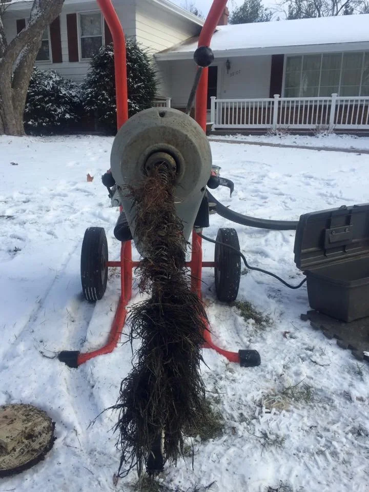 Root Infestation in the Sewer