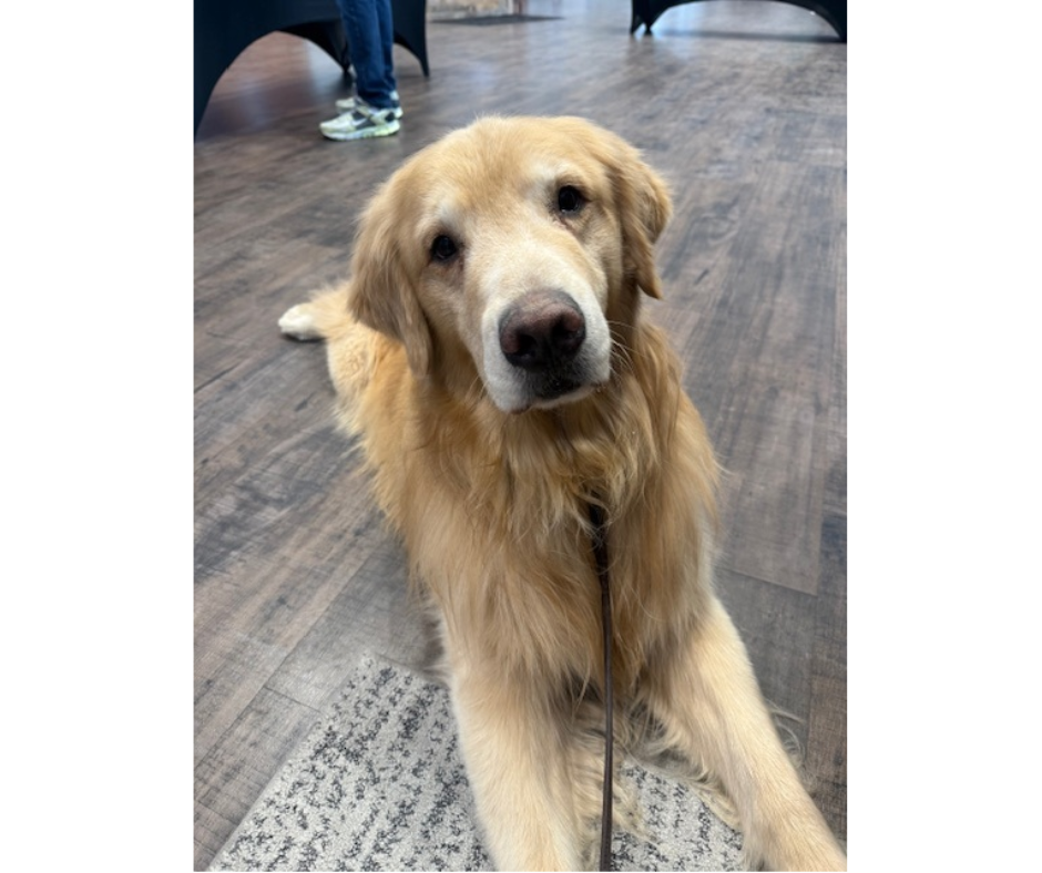 2026 February Bruce Visit at Clayton Christian Church