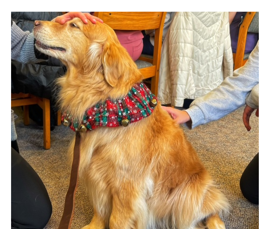 December 2024 Mabel visiting the Indiana University School of Dentistry