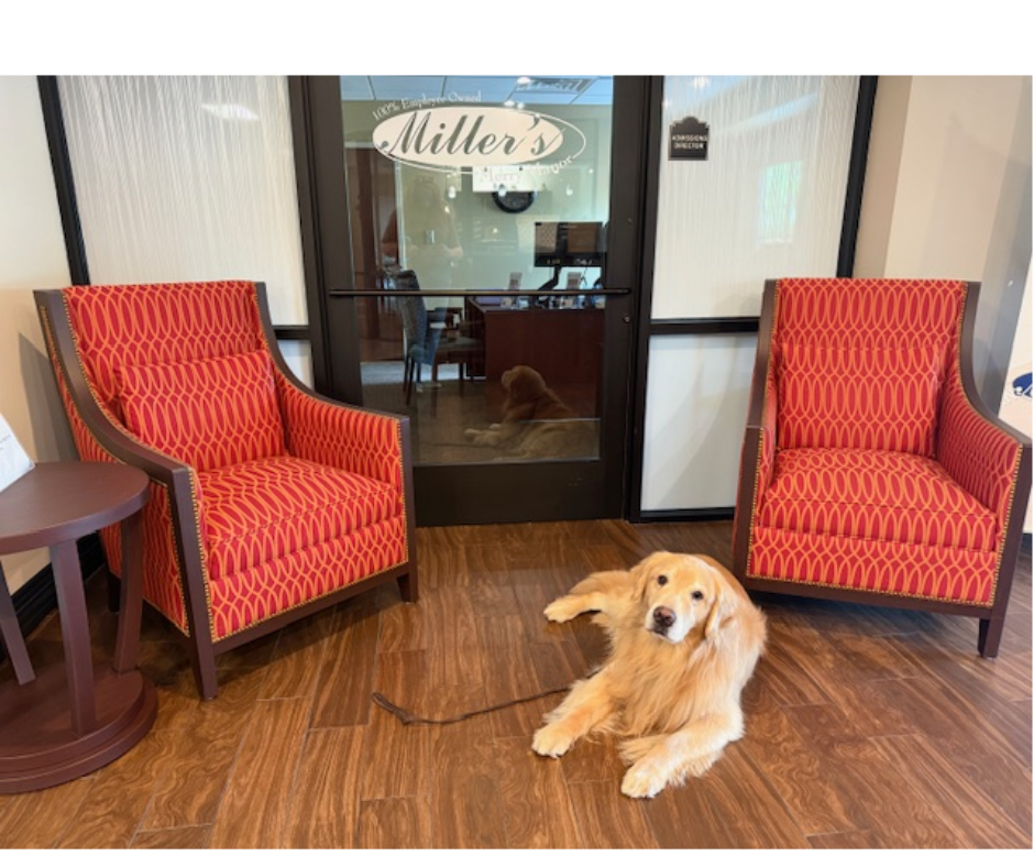 August 2025 - Miller's Merry Manor