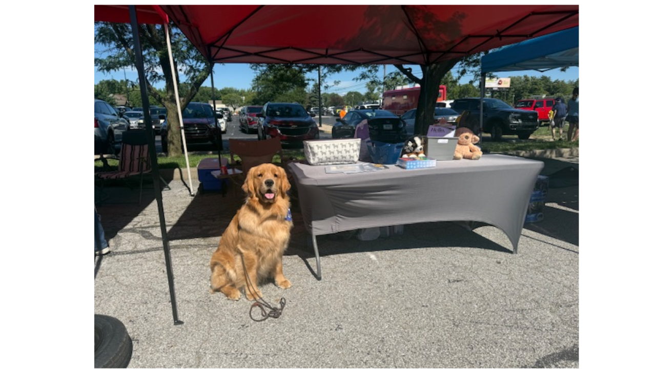 2026 June - Comfort Dog Moses at the Avon Farmer's Market