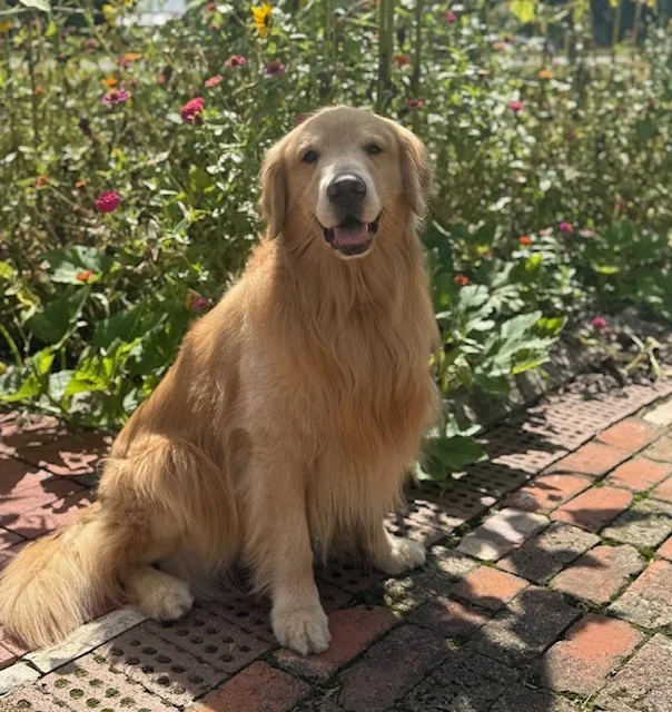 September 2025 Bruce