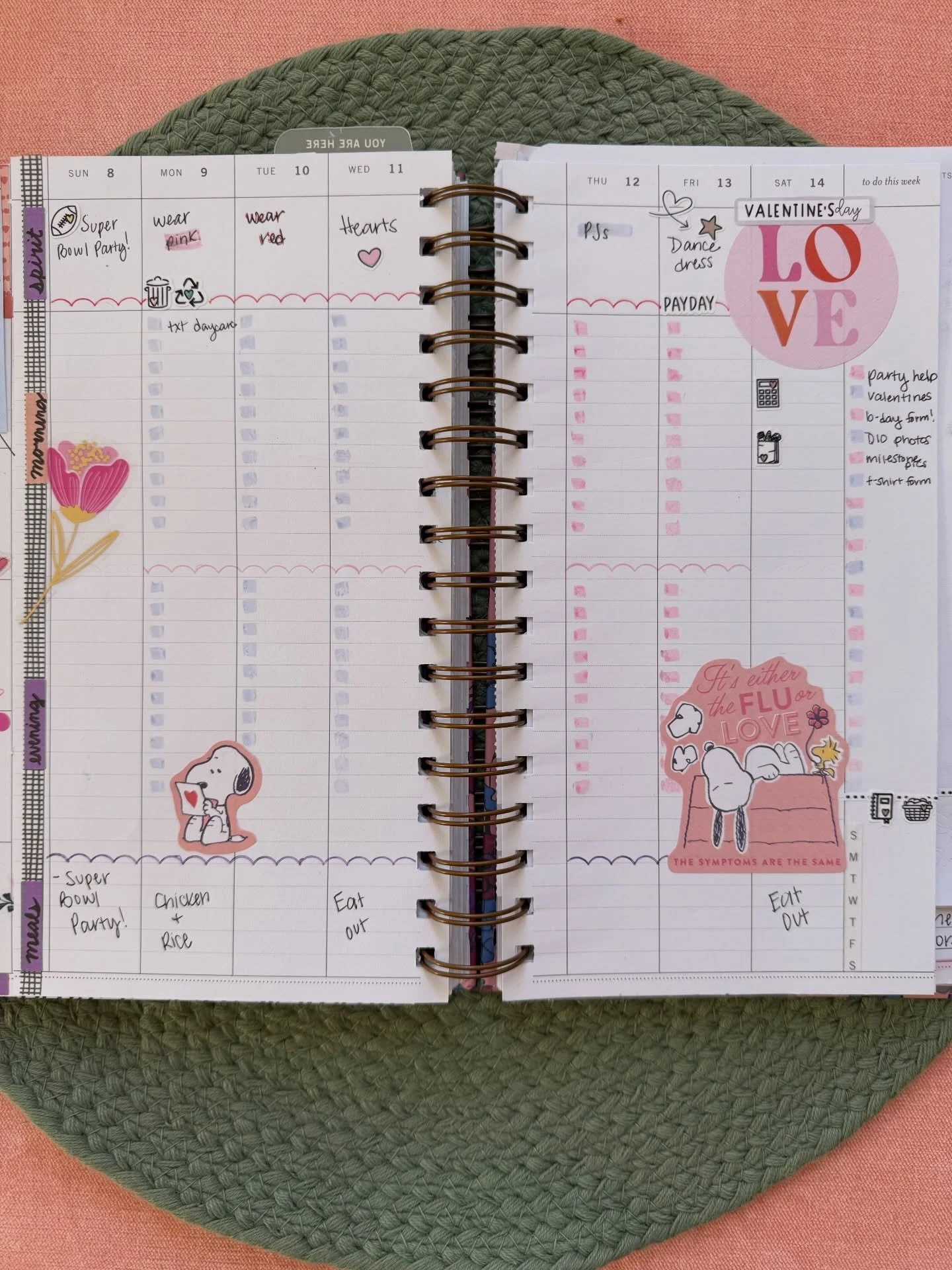 Week 7 spread in photo form! Forever in love with my @laureldenise Anne and forever obsessed with the cutest snoopy stickers from @the_happy_planner! Lists on lists on lists this week! And of course Kiki had to take a peek 👀🐈&zwj;⬛ 

#snoopy #todol