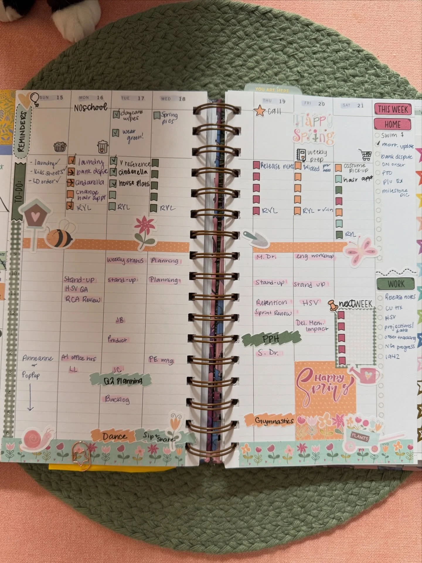 Planner therapy hits different when it&rsquo;s almost SPRING!!! 🌸✨

💬 Stickers first or writing first? This is important.🤨

&amp; don&rsquo;t forget to peep the paws 🐾👀 

&bull;&bull;&bull;

📓 Planner: @laureldenise &mdash; use code IMPERFECT10