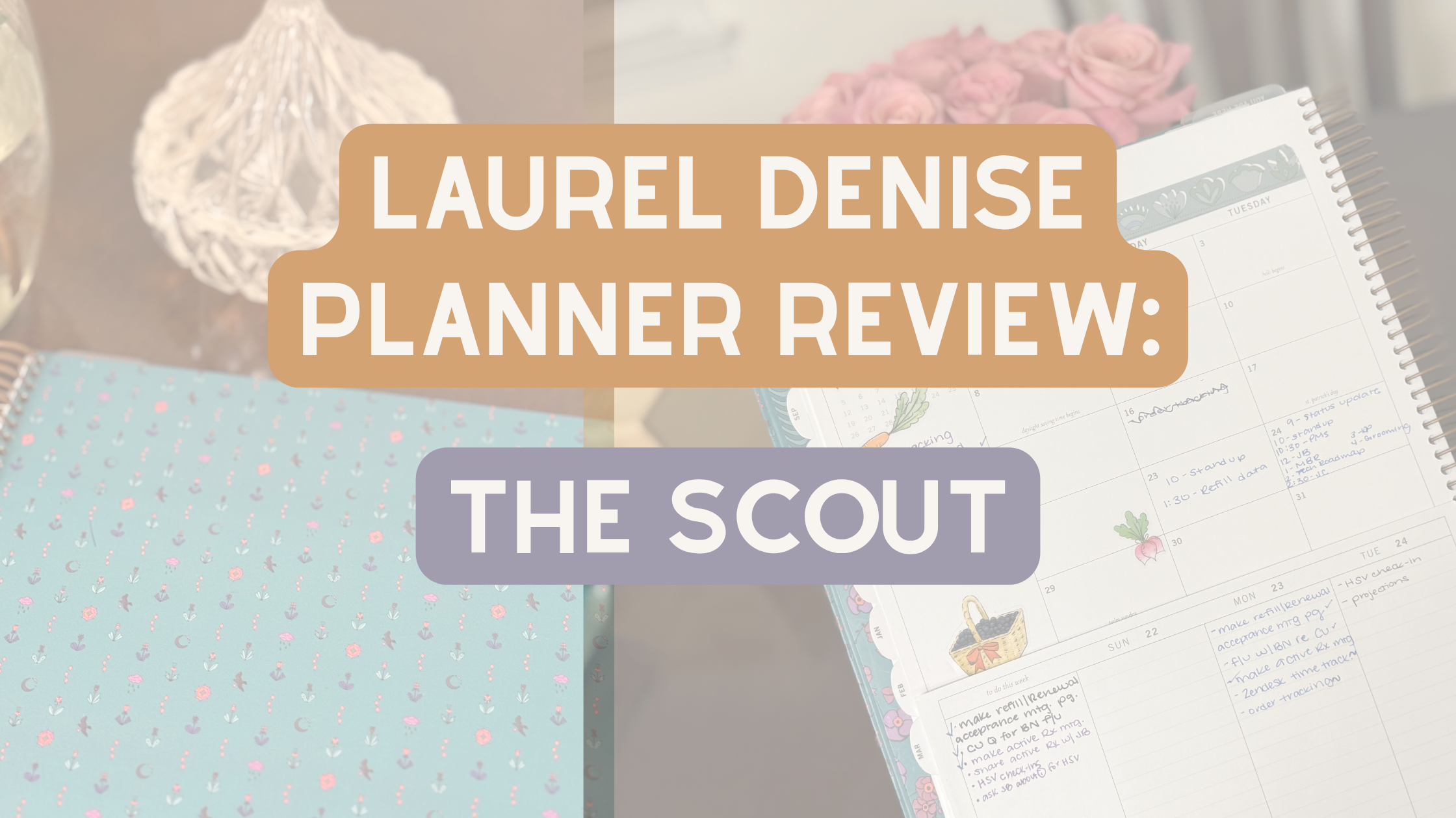 Laurel Denise Scout Large Review: Honest Thoughts After A Year