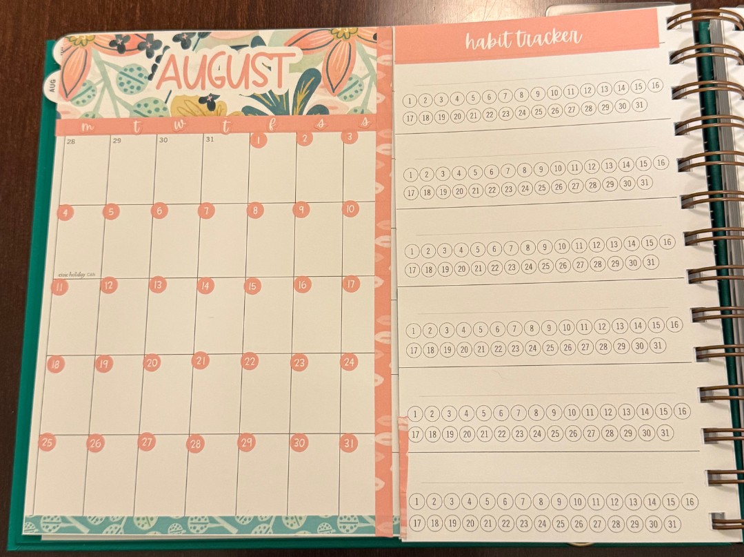 Laurel Denise Nancy small planner monthly view with stickers planning layout