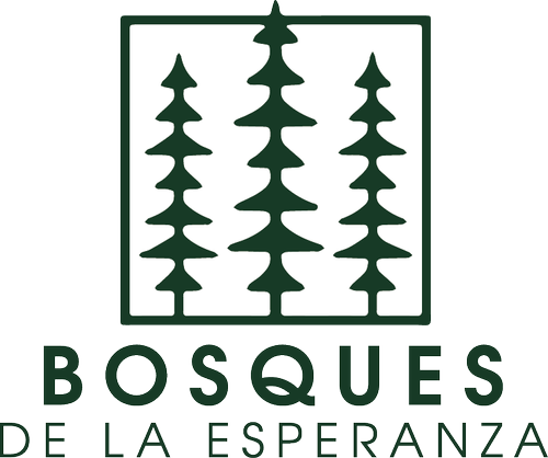 Bosques de la Esperanza I