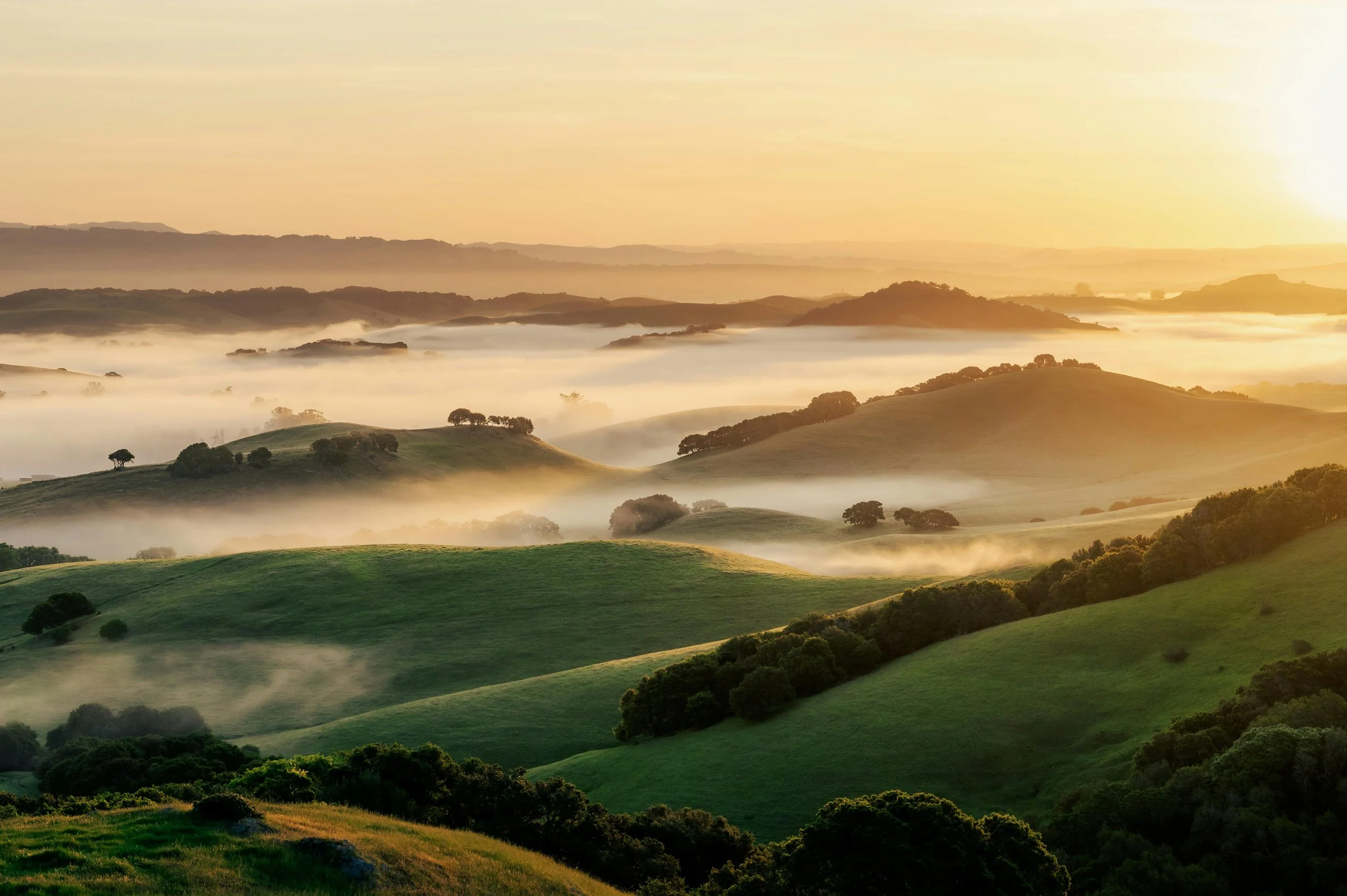 Rolling hills of Northern California, where Nature's Prey sources ingredients from trusted West Coast farms.