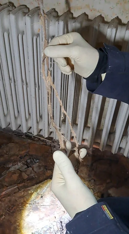 Expert Parasite Bois Expertise prélevant un rhizomorphes d'une zone infestée de mérule en Seine-Maritime