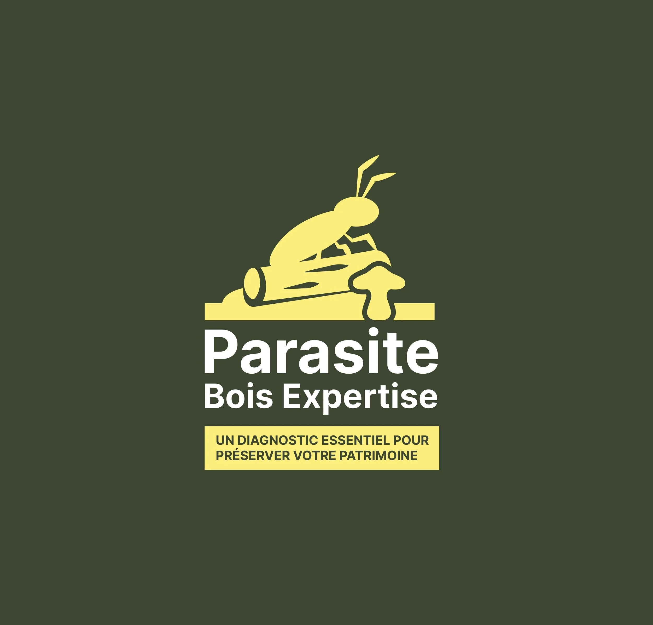 Bienvenue chez Parasite Bois Expertise