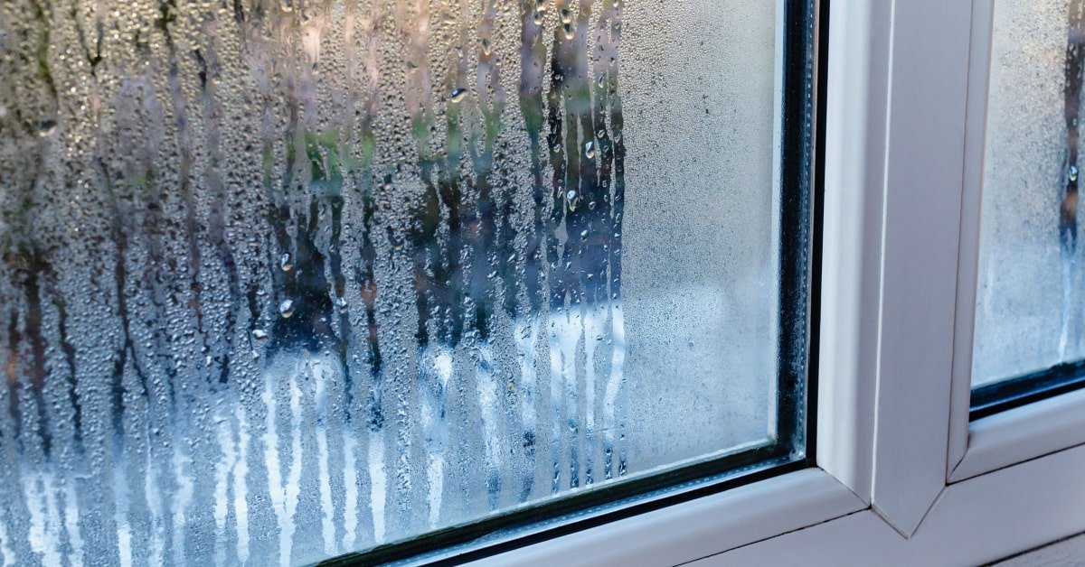 Maison humide : quels risques pour la charpente et les planchers ?