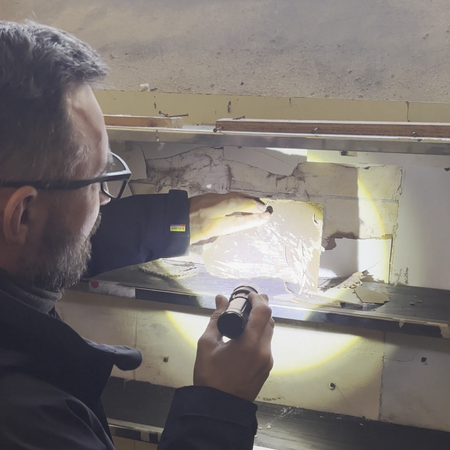 Que faire si vous découvrez des bois attaqués en plein chantier ?
