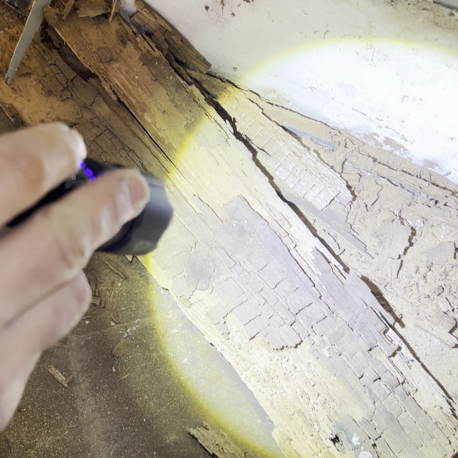 Les zones à risque dans une maison pour les parasites du bois