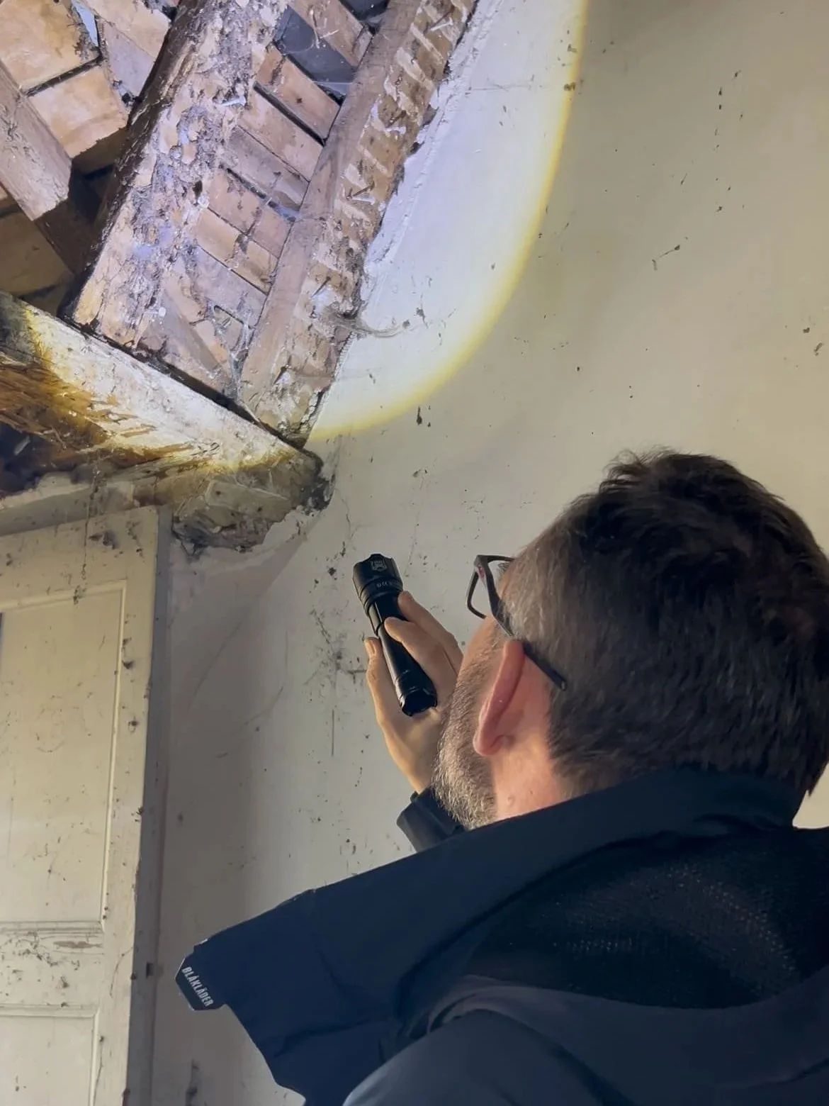 Achat immobilier : comment éviter d’acheter une maison infestée par les termites ?