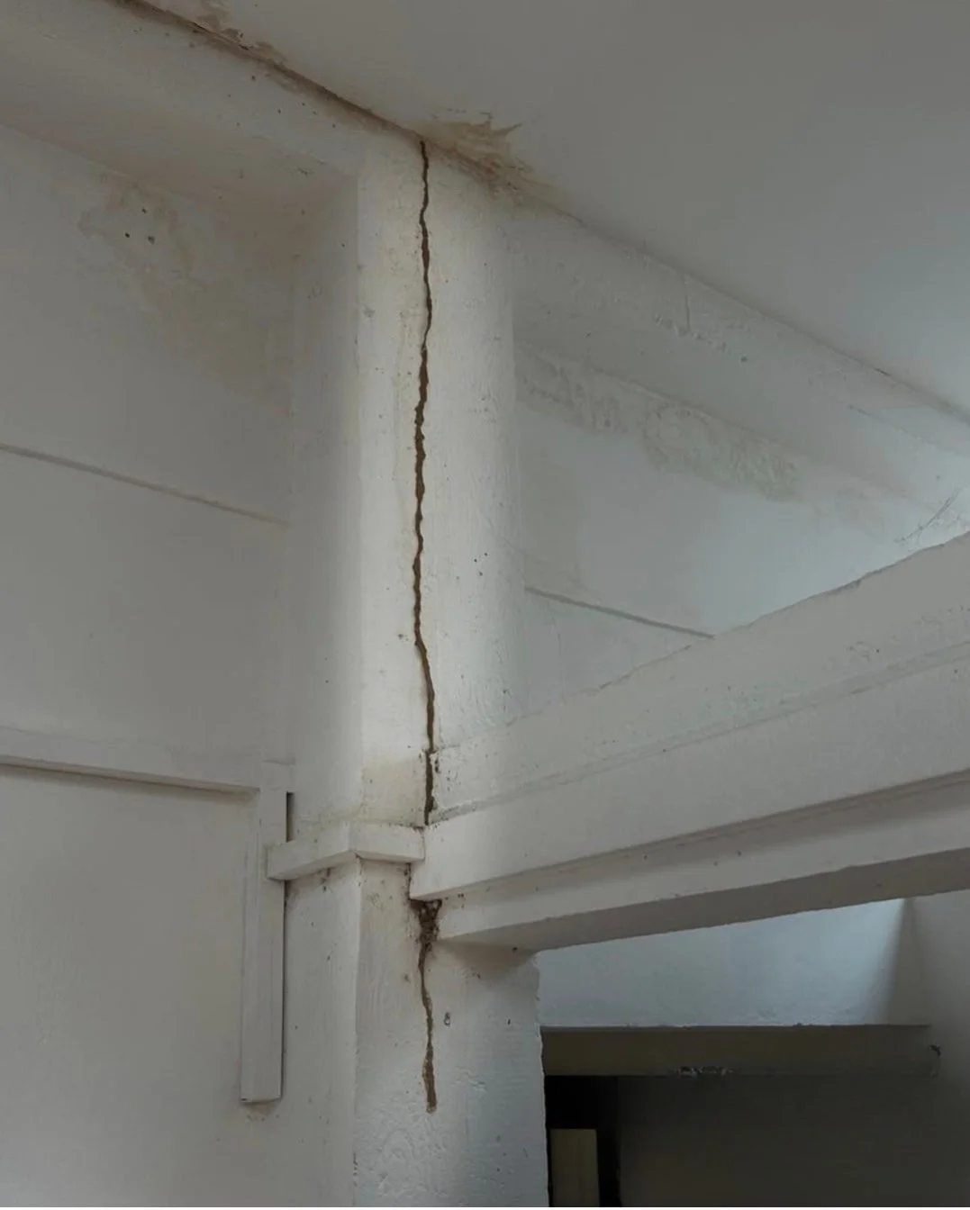 Charpente immeuble haussmannien Rouen inspectée pour termites souterrains Reticulitermes