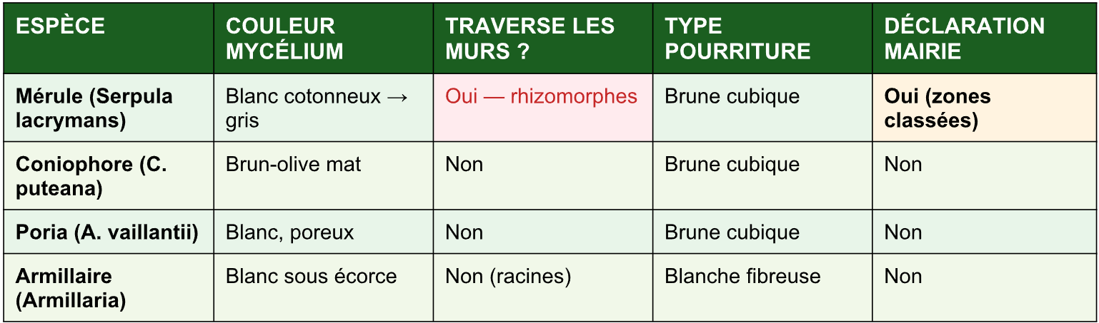 Tableau comparatif des espèces de champignons lignivores en Normandie — mérule coniophore poria