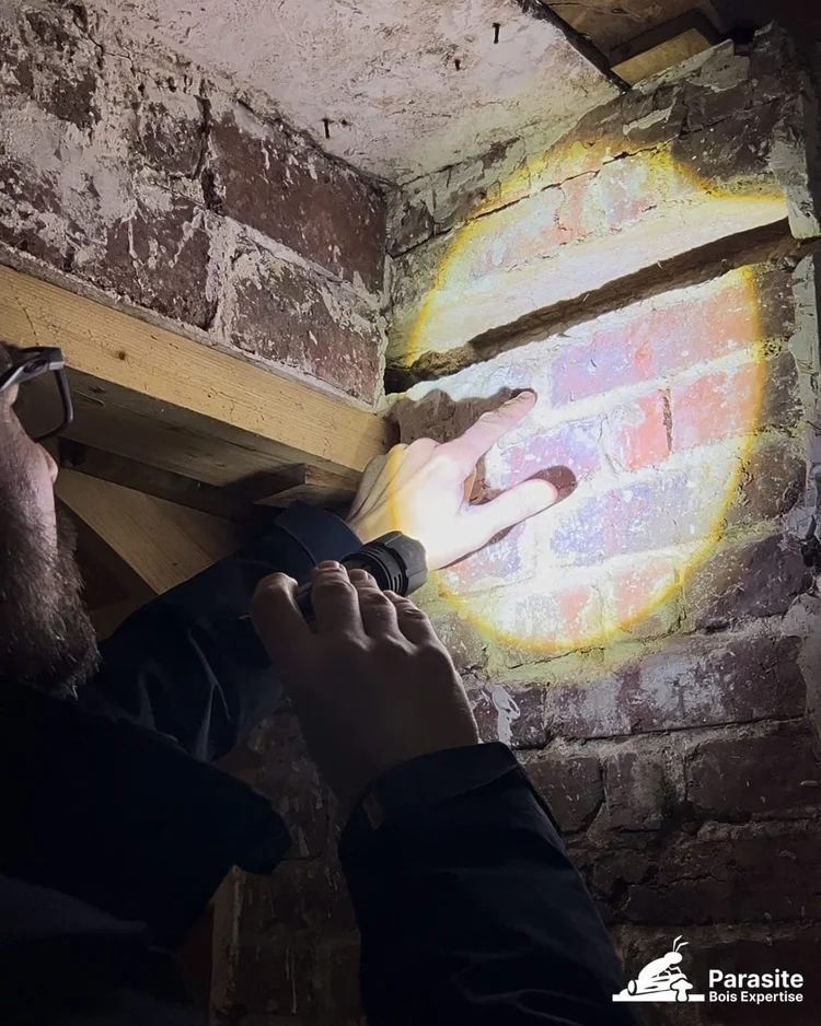 Sébastien Vieuxbled inspectant les solives à la lampe