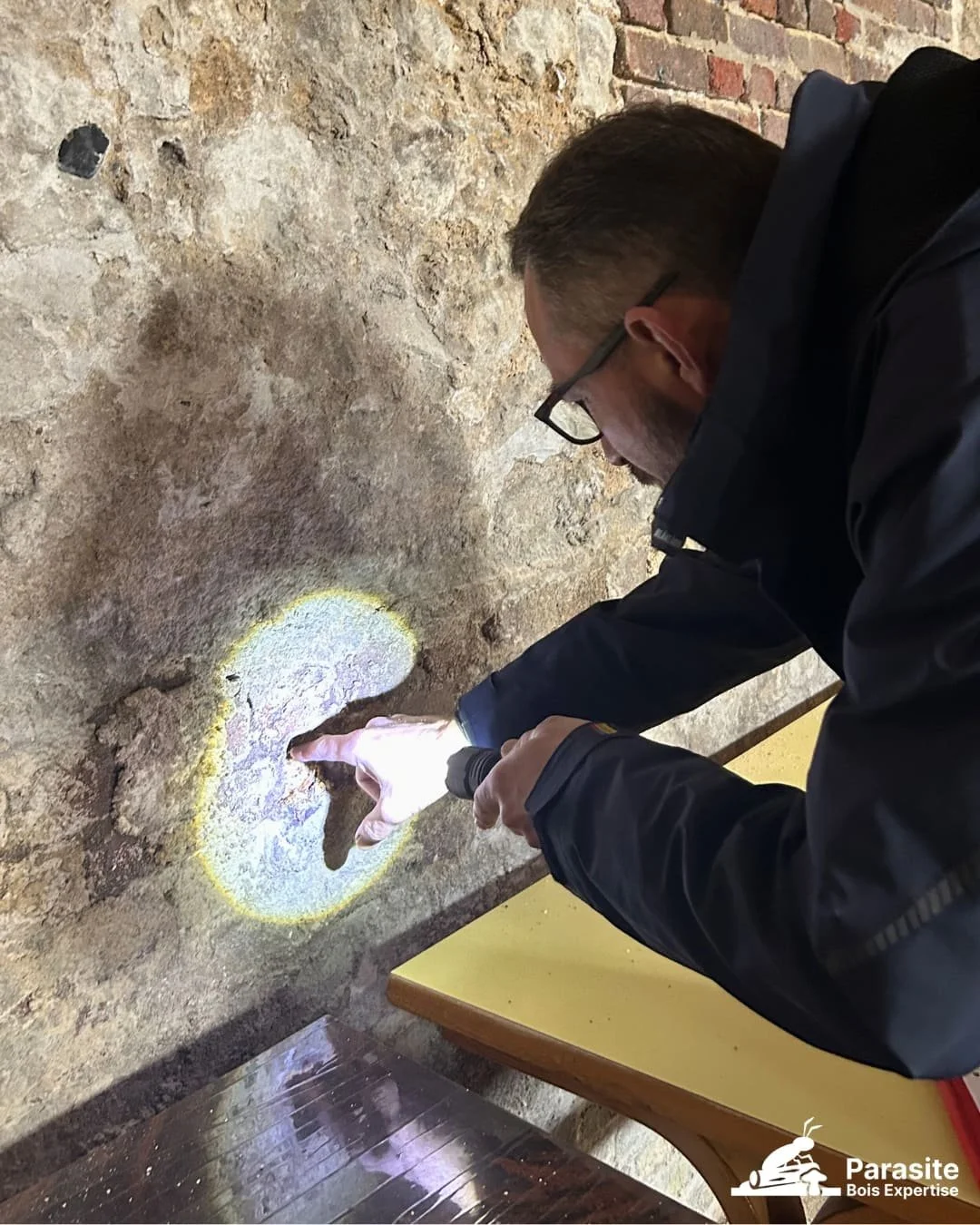 Expert Parasite Bois Expertise diagnostic termites dans commune classée zone termitée Normandie