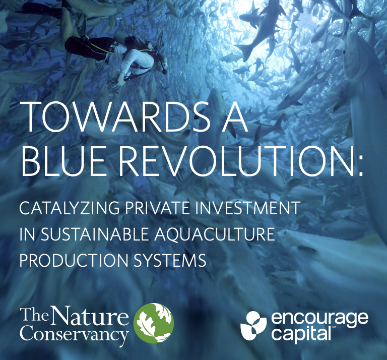 Screen Shot 2025-06-18 at 2.17.41 PM.png