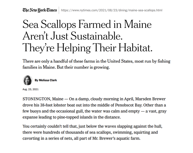 Screen Shot 2025-06-18 at 3.18.02 PM.png