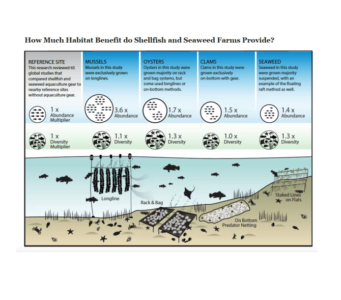 Screen Shot 2025-06-18 at 2.33.23 PM.png